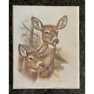 Ruane Manning Vtg Litho Deer Doe Print 8x10 Unframed 1999 NorthWest Pub. Corp.